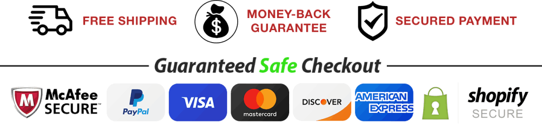 InsuFend secure payment